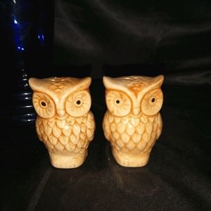 Owl pair of Salt & Pepper Shakers.